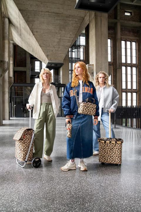 Image du produit reisenthel Shopping Trolley