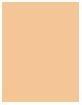 Produktbild Shiseido Self Refreshing Foundation 160 Shell (160 Shell)