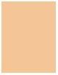 Produktbild Shiseido Revitalizing Skin Glow Fond de Teint No 160 (160 Shell)