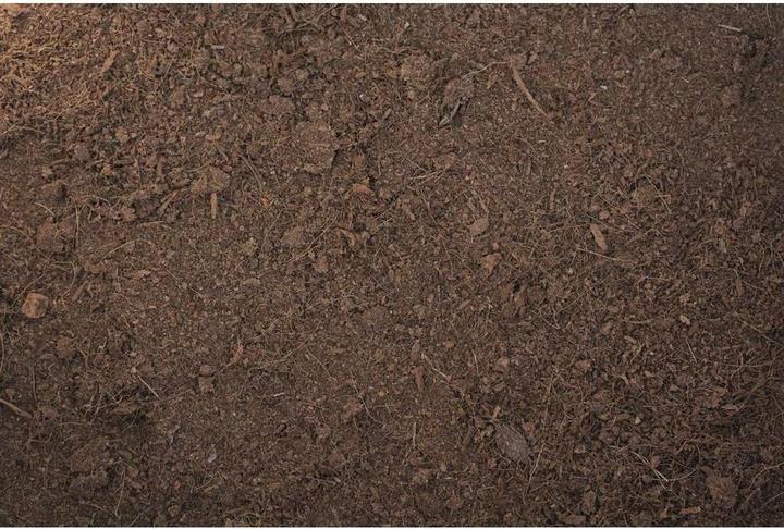 Produktbild Reptiles-Planet Terrarium-Zubehör Waldbettwäsche