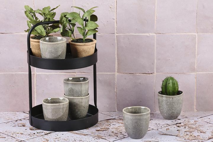 Actual product image Björn Stellar (150 ml, 6x)