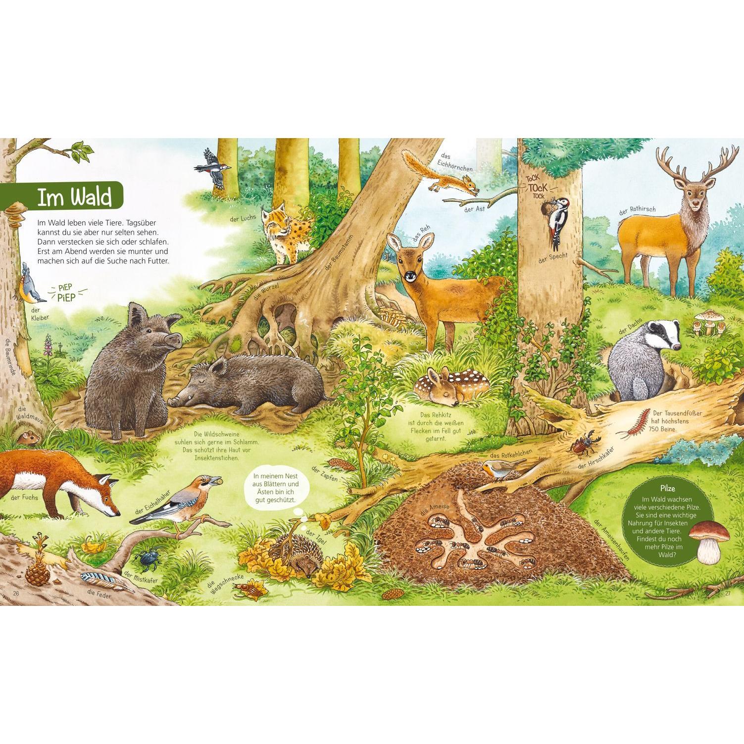 Thumbnail - WAS IST WAS Mein erstes Lexikon, Kinderbücher von Stefan Lohr, Silke Voigt, Markus Humbach, Hans-Günther Döring, Sabine ...