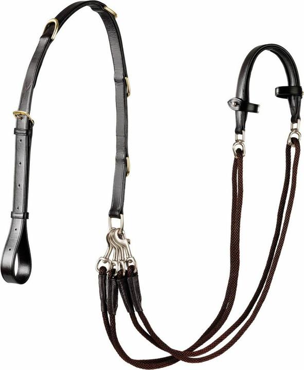 Actual product image Daslö Gogue for horse stainless steel buckles