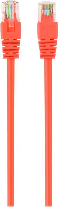 Actual product image Gembird Patch cable (UTP, CAT5e, 2 m)