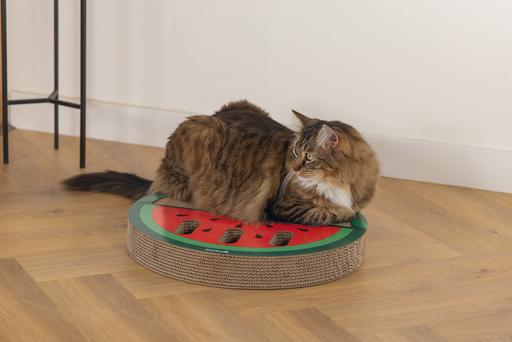 Produktbild Beeztees Hide (Mehrfarbig)