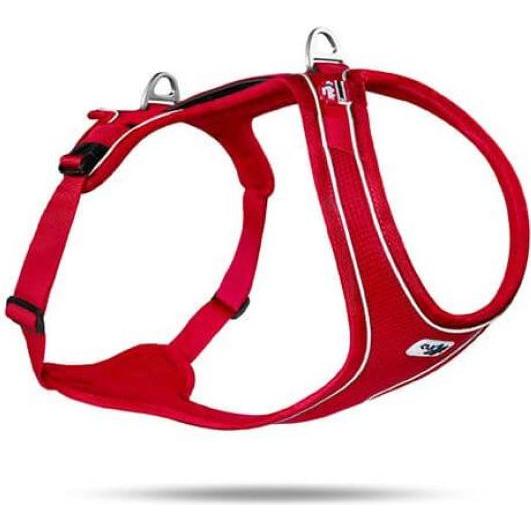 Thumbnail - Curli Belka Comfort Hundegeschirr Rot S (S, Hund, Spazieren), Halsband + Leine