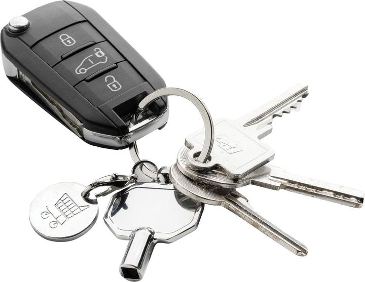 Actual product image Xd Collection Zinc Alloy Recycled Keyring