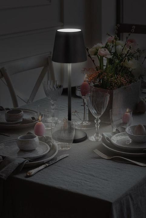 Actual product image Securit FELINE - table lamp (60 lm)