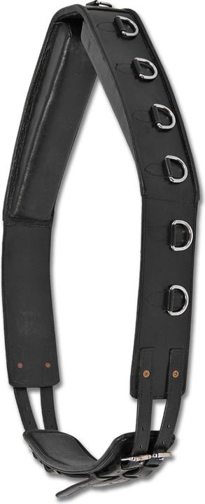 Image du produit Waldhausen Harnais de longe en cuir