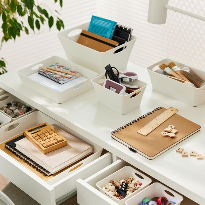 Actual product image Rotho Livingbox (21.60 cm, 5 l, 1x)