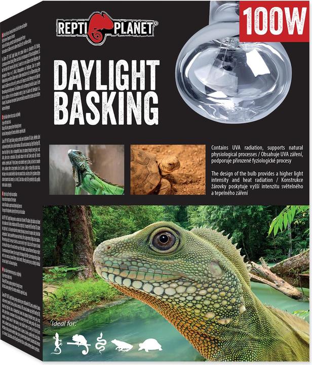 Produktbild Repti Planet Daylight Basking Spot 100 W (UVB, UVA)