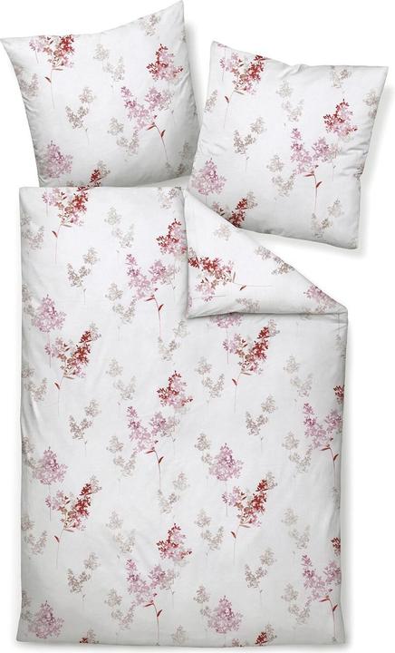 Produktbild Janine Davos 65172 beere (160 x 210 cm, 65 x 100 cm)