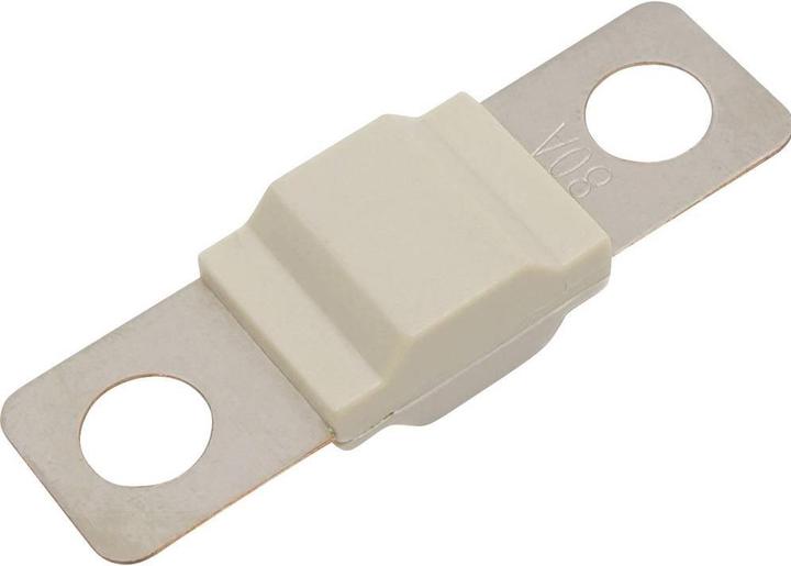 Actual product image Tru Components TC-13545892 Sicherung 80 A 80 V/DC Inhalt 10 St. Bulk (80 A)