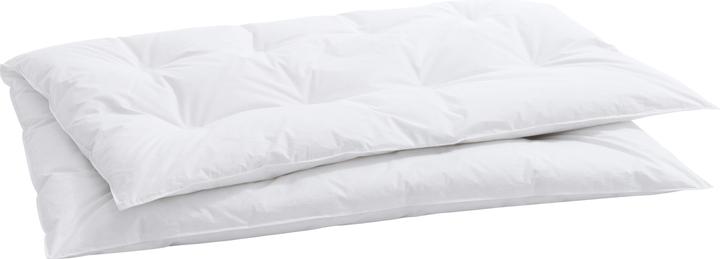 Image du produit Billerbeck Carmen Medium (Duvet, 100 x 135 cm)