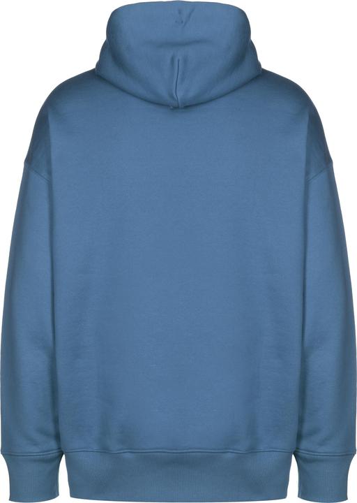 Actual product image Tommy Hilfiger TJM Tommy Badge Hood DM0DM10904 C4H M (M)