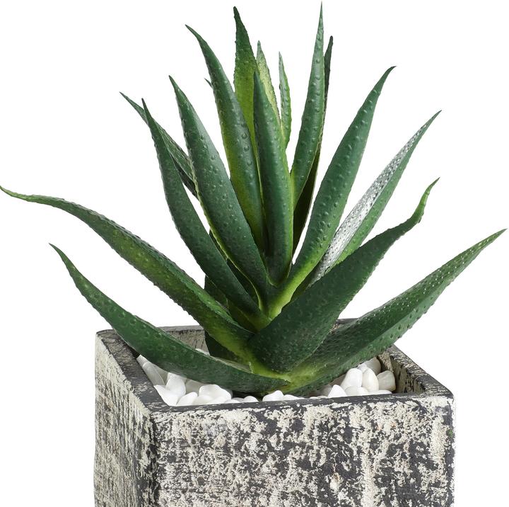Actual product image EGLO LIVING Chitose (13 cm)