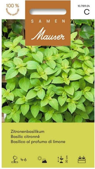 Actual product image Samen Mauser Lemon basil (Herb seeds)