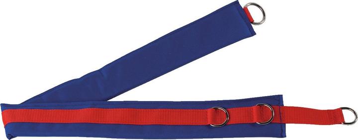 Actual product image Lojer Lap belt 100x8 cm