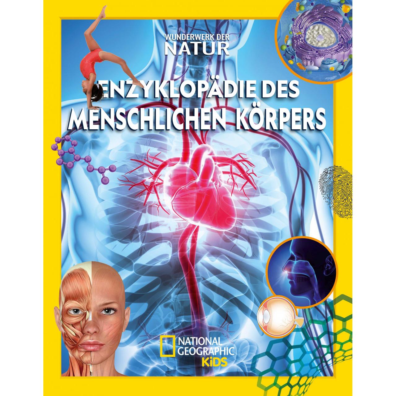 Enzyklopädie des menschlichen Körpers: Wunderwerk der Natur, Kinderbücher von Annette Ostlaender