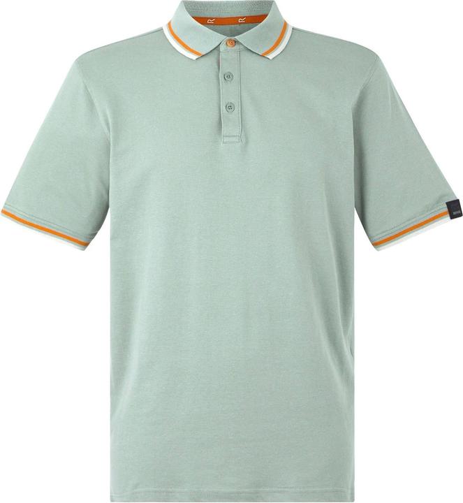 Actual product image Regatta Mens Adryan Polo Shirt (M)