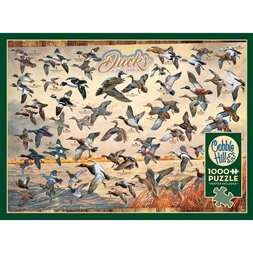 Thumbnail - Cobble Hill Puzzle Enten von Nordamerika 1000 Teile