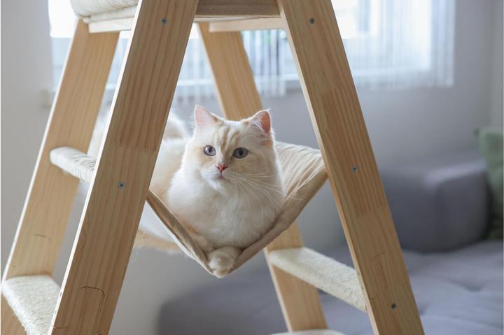 Produktbild Kerbl Kratzbaum Ladder für Katzen (134 cm, Beige, Braun, Wood colour)
