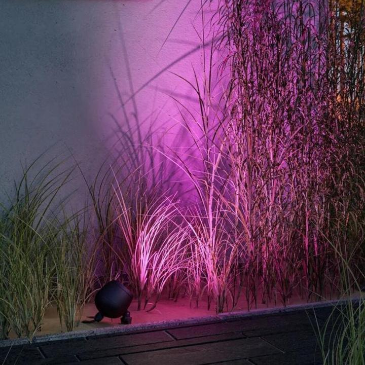 Actual product image Paulmann Kikolo (400 lm, IP65)