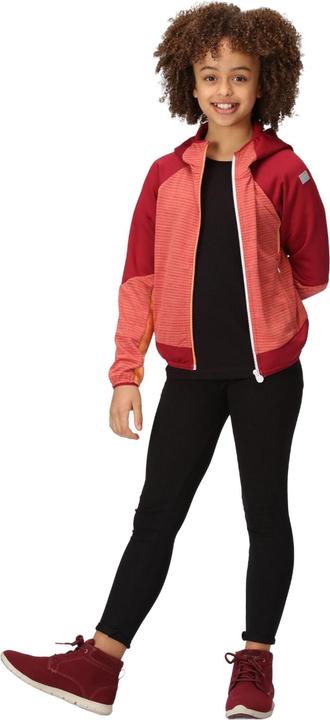 Produktbild Regatta Prenton II Softshelljacke mit Kapuze (116)