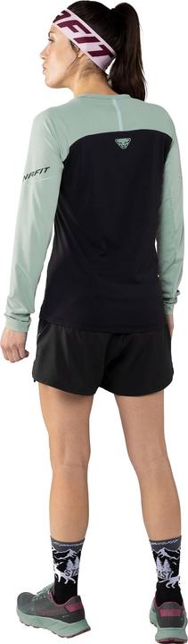 Produktbild Dynafit Alpine Pro Langarmshirt (42, XL)