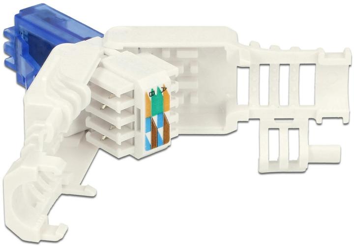 Actual product image Delock RJ45 plug, UTP, Cat.6A, 2 pieces (Network cable plug)