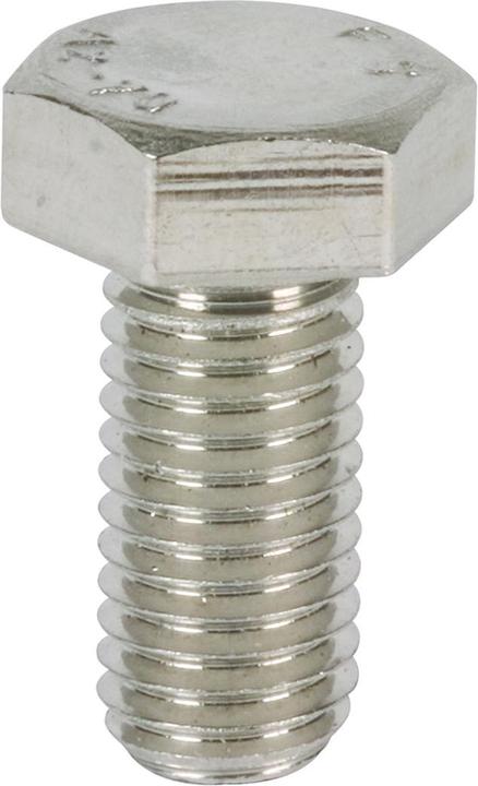 Actual product image Dehn Hexagon head screw DIN 933 M12x25mm NIRO 561925
