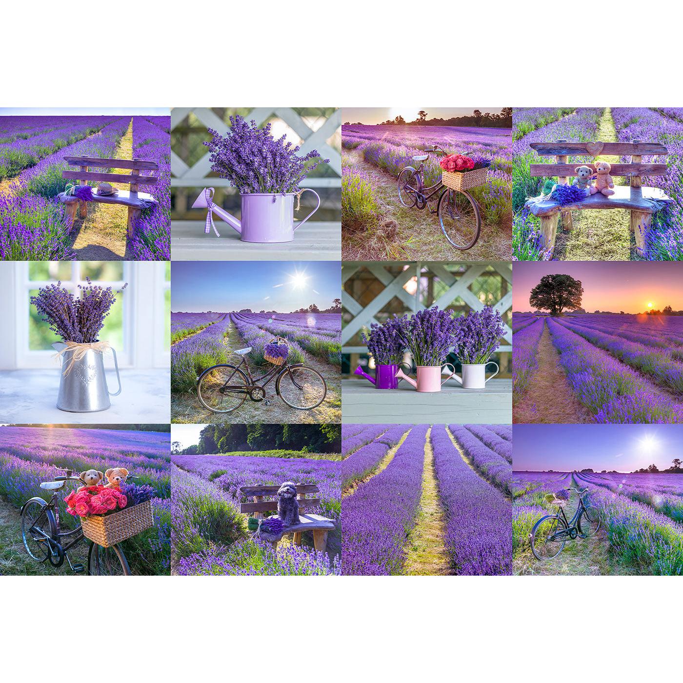 Thumbnail - WoodenCity Lavender France XL (600 Teile) (600 Teile)