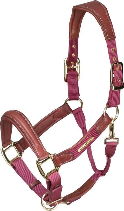 Image du produit Velociti - Licol