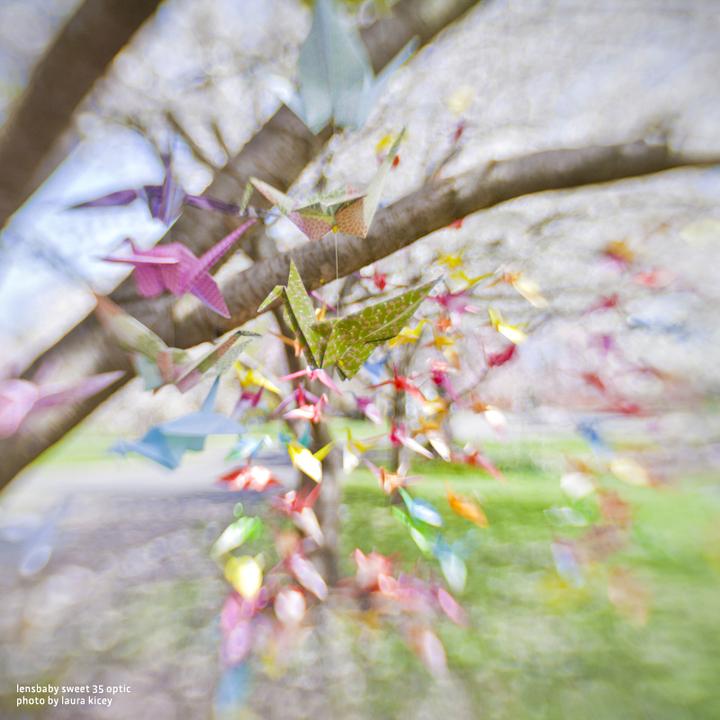 Image du produit Lensbaby Sweet 35 Optic, f2.5 - f22 (Plein format)