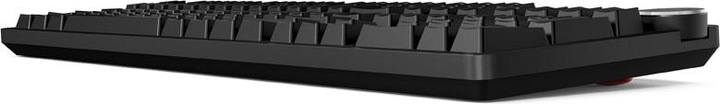 Actual product image Das Keyboard 6 Professional, US layout (ISO), MX-Blue - black (US, Cable)