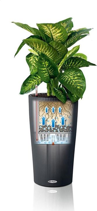 Produktbild Lechuza Cilindro 32 (32 x 56 cm)
