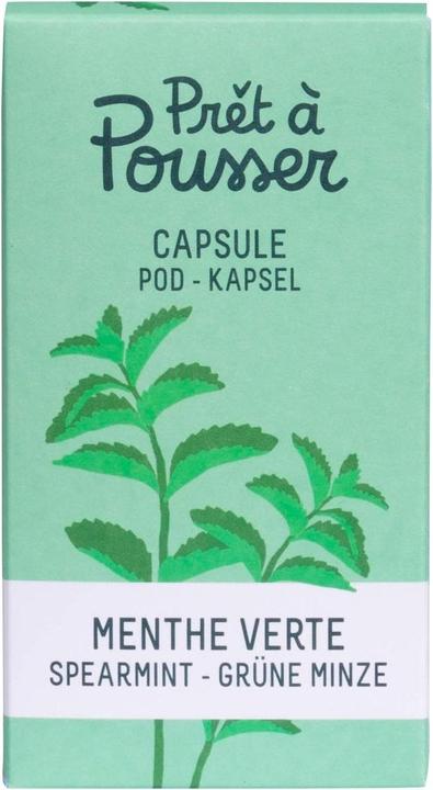 Prêt à Pousser Grüne Minze (Kräutersamen)