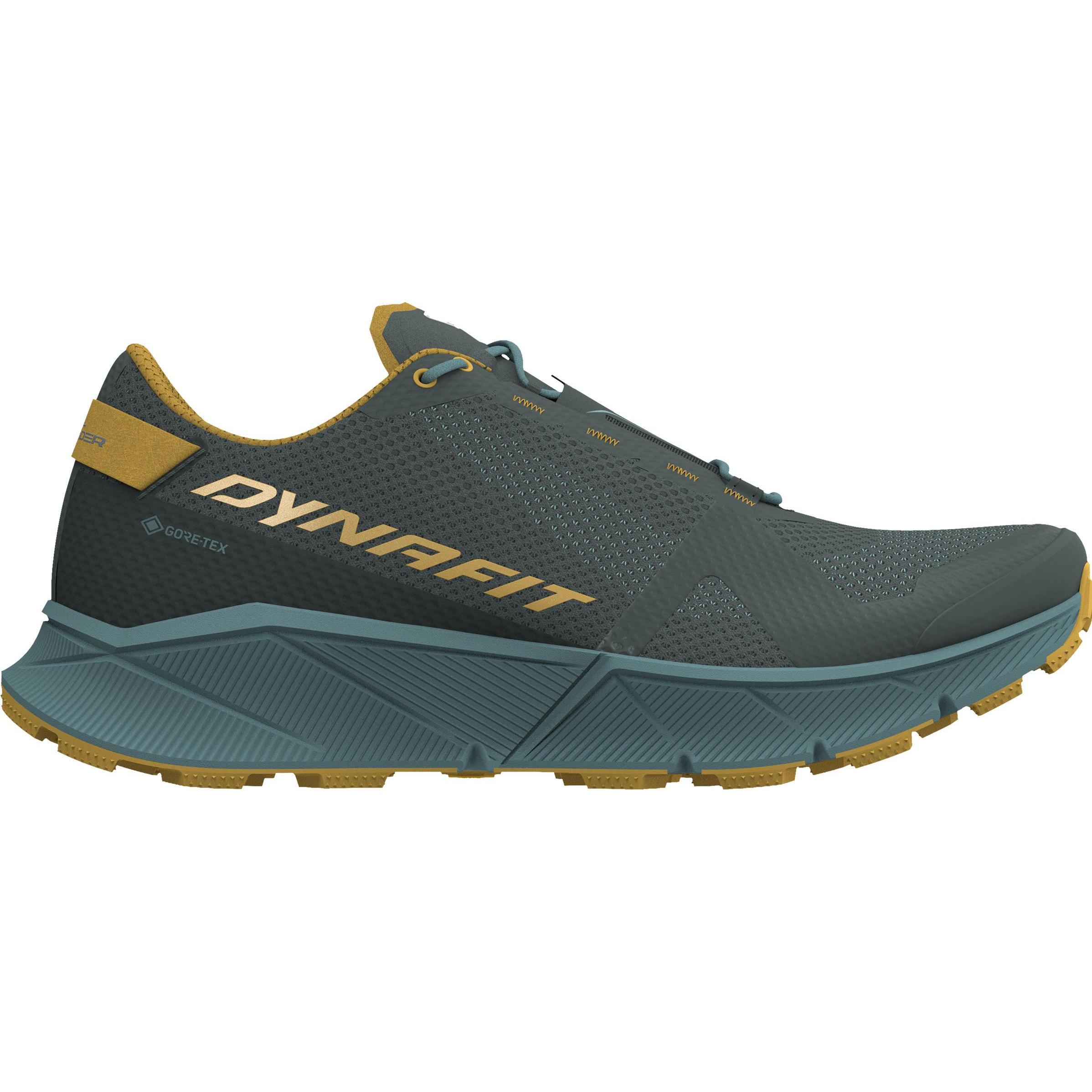 Dynafit, Herren, Laufschuhe, Ultra 100 GTX Laufschuh (46), Blau