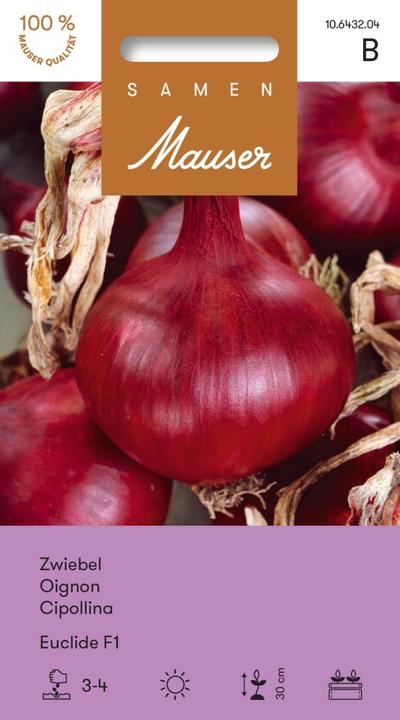 Image du produit Samen Mauser Oignon Euclide F1 (Graines de légumes)