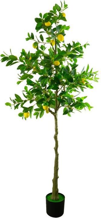 Immagine prodotto Novidarte Kunst Zitronenbaum 180 cm (180 cm)