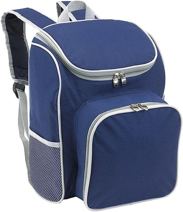 Actual product image Graco Picnic Backpack for 2 Persons