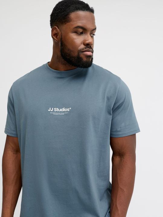 Produktbild Jack & Jones Jjesoho Tee Ss Crew Neck Noos Pls (3XL)