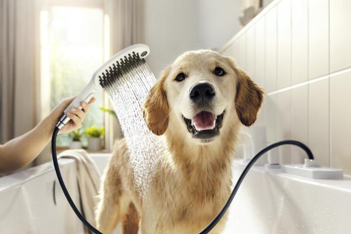 Produktbild hansgrohe DogShower Hundebrause 150 Select (3 Strahlarten, 7.60 l/min)