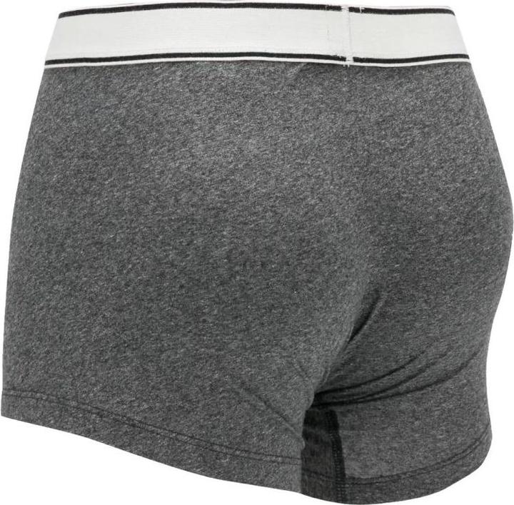 Actual product image Levis Boxer 2 pairs of panties 37149-0398 grey S (S)