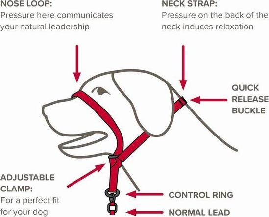 Produktbild beaphar Zwart (M, Hund, Hundesport)