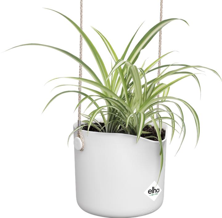 Produktbild Elho B.for Swing (18 x 170 cm)