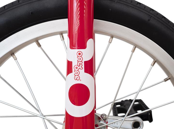 Actual product image OnlyOne QU-AX Unicycle