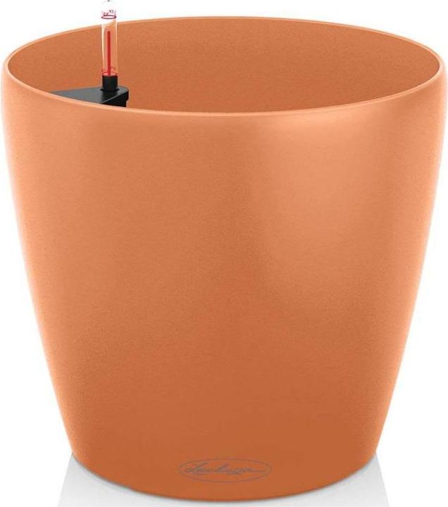 Actual product image Lechuza Classico Color