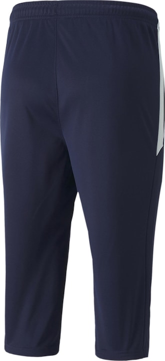 Actual product image Puma teamLIGA Training 3/4 Pants-657271 (L)