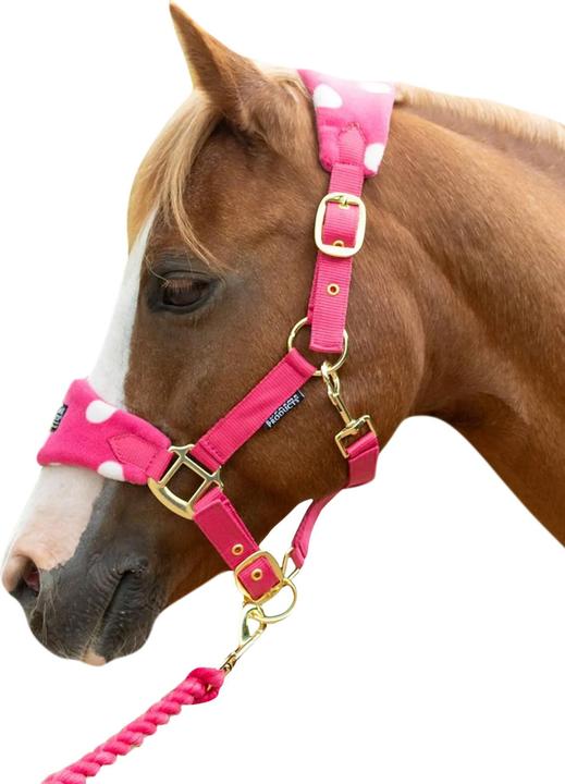 Image du produit Supreme Products - Licol et longe DOTTY